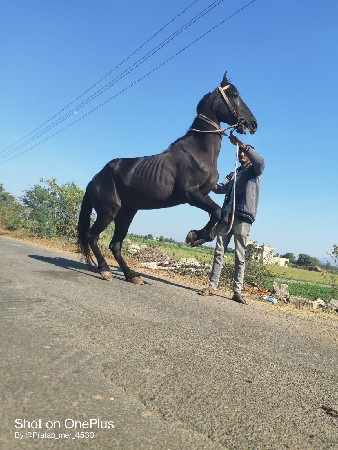 vaseri 2 mahinaninse