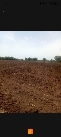 202 વિઘા વેચવાની છે