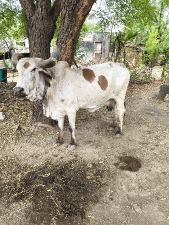 थंबनेल 2