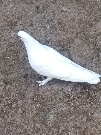 થંબનેલ 2