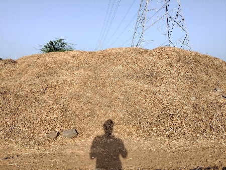 ભુકો વેસવાનોછે