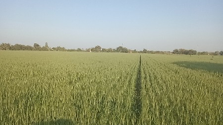 જમીન વેચવાની છે