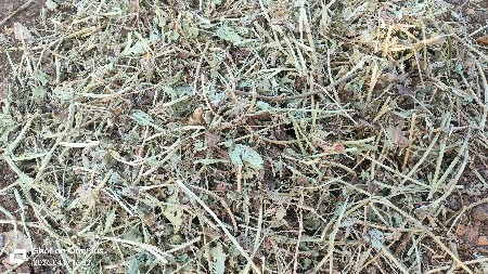 મગફળી નો ભૂકો