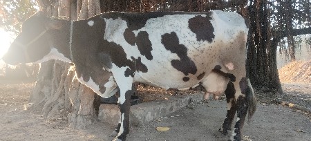 थंबनेल 2