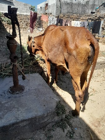 થંબનેલ 3