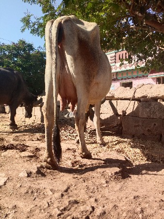 थंबनेल 3