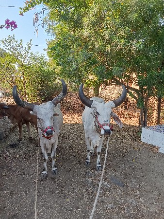 30000 રૂપિયા