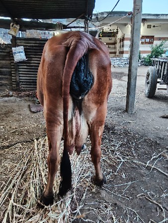 થંબનેલ 3