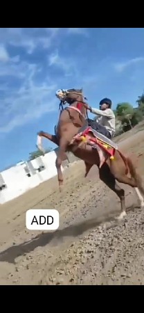 थंबनेल 2