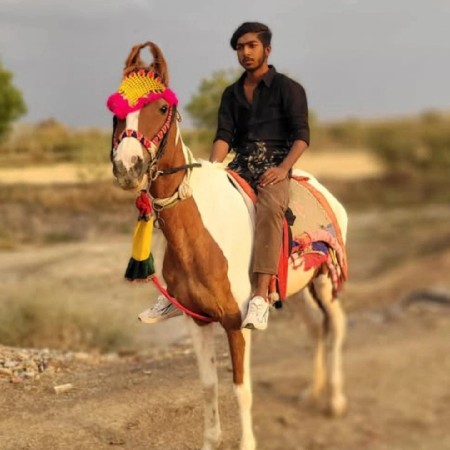 ઘોડીના સાટા કરવાના છે