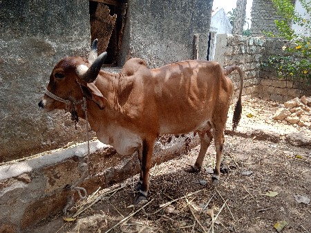 थंबनेल 2