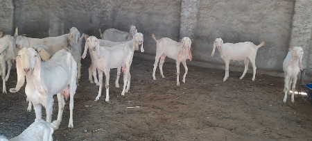 थंबनेल 2