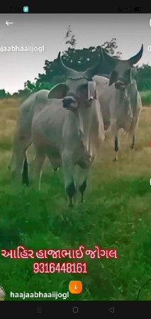 थंबनेल 6