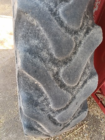 થંબનેલ 2