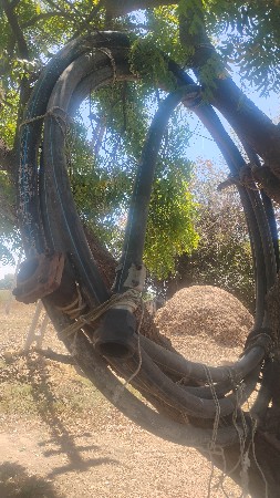 2 નો રસો 65 ફૂટ