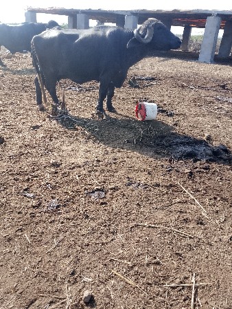 थंबनेल 3