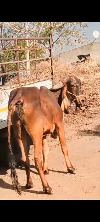 थंबनेल 3