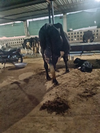 थंबनेल 3