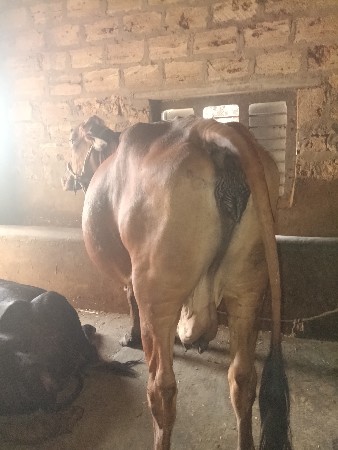 थंबनेल 2