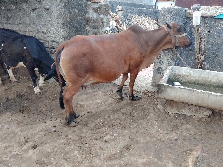 थंबनेल 2