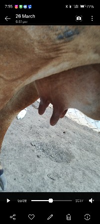 थंबनेल 3