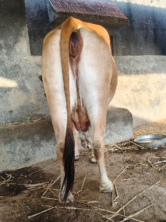 थंबनेल 2