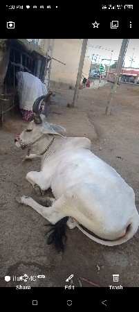 थंबनेल 2