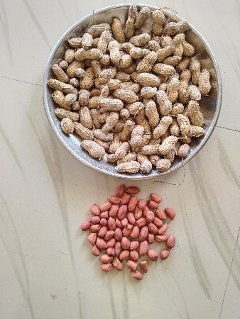 જી 20 મગફળી વેચવાની છે