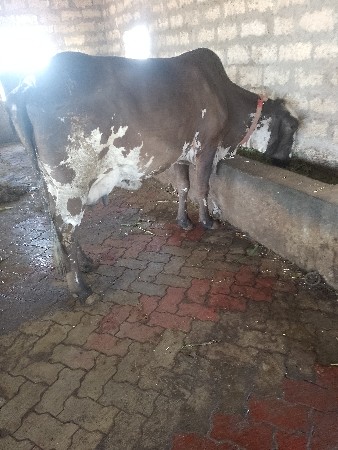 थंबनेल 3