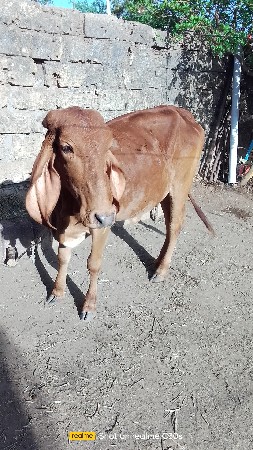 थंबनेल 2