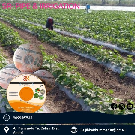 थंबनेल 4