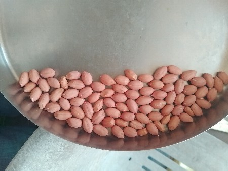 ગિરનાર માંડવી વેસ્વી