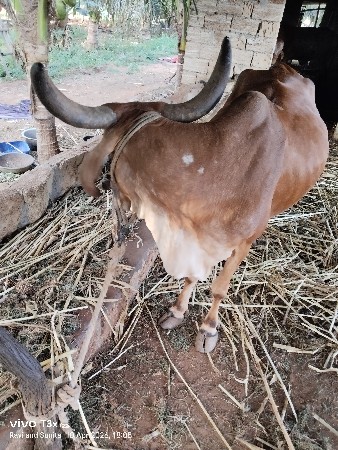 थंबनेल 2