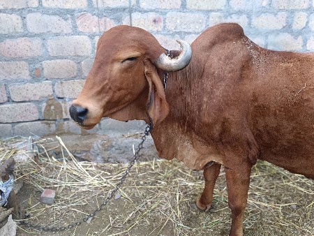 थंबनेल 2