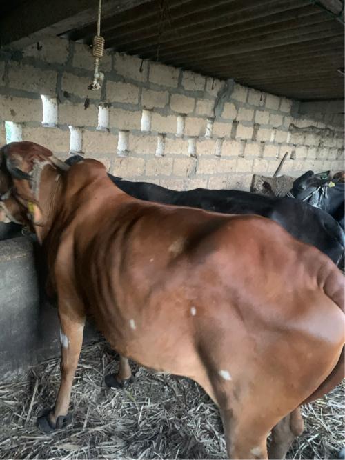 थंबनेल 3