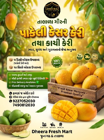 તાલાળા ની પ્રખ્યાત કેસર કેરી