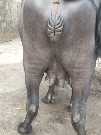 थंबनेल 3