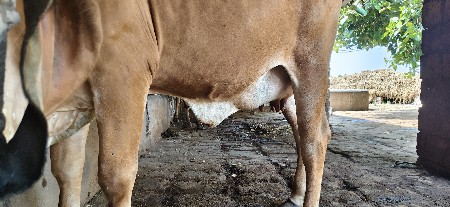 थंबनेल 2