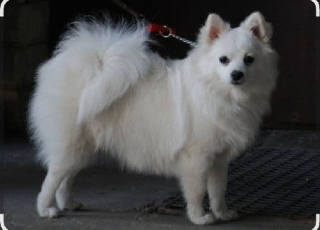 મેલ વેચવાનો