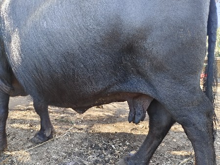 थंबनेल 2