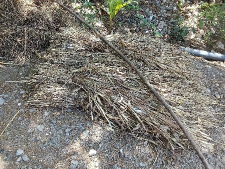 ગોઢલા વેચવાના છે