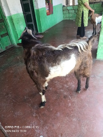 थंबनेल 2