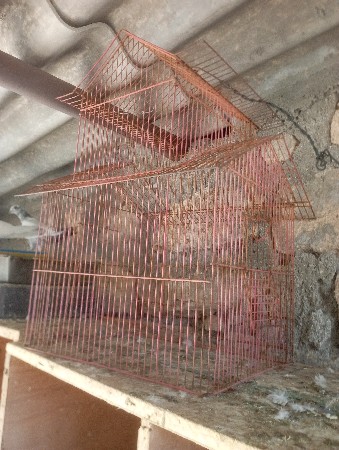 ચકલાનુ પીજરુ દેવાનું છે