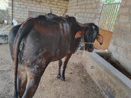 બીજું વેતર