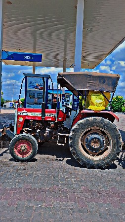 MASSEY FERGUESON 241