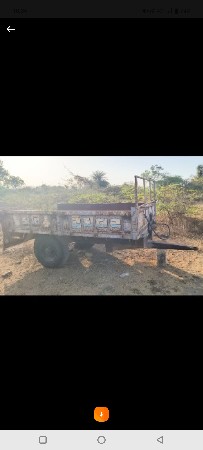 90 ફોટો  ટોલી