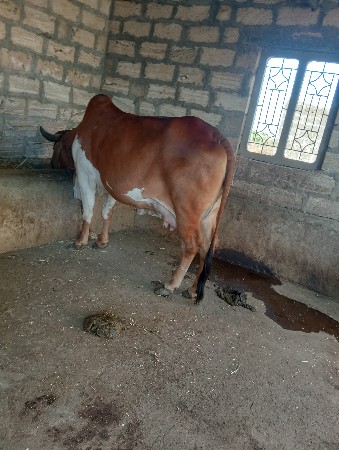 थंबनेल 3