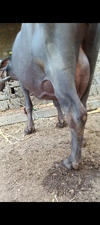 थंबनेल 2