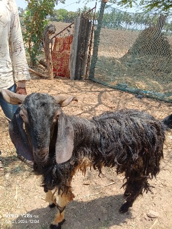 थंबनेल 2