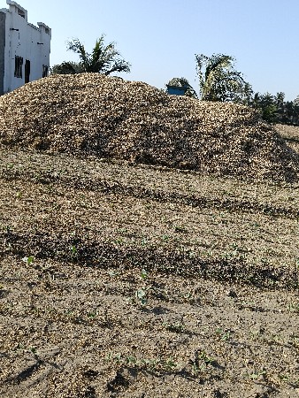 કરસનભાઇ સોલંકી 6355153829